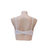 amoreena bra undergarment amoreena white back view 200x200