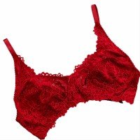 blossom 001 undergarment red 200x200