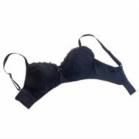 blossom 004 embroidery net bra black 200x200