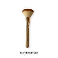 clazona 09 blending brush 200x200