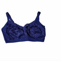 daisy embroidery net bra blue 200x200