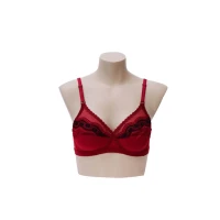 mystique n undergarment mahroon 200x200