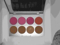 tony teena 8 color blush on a 200x150